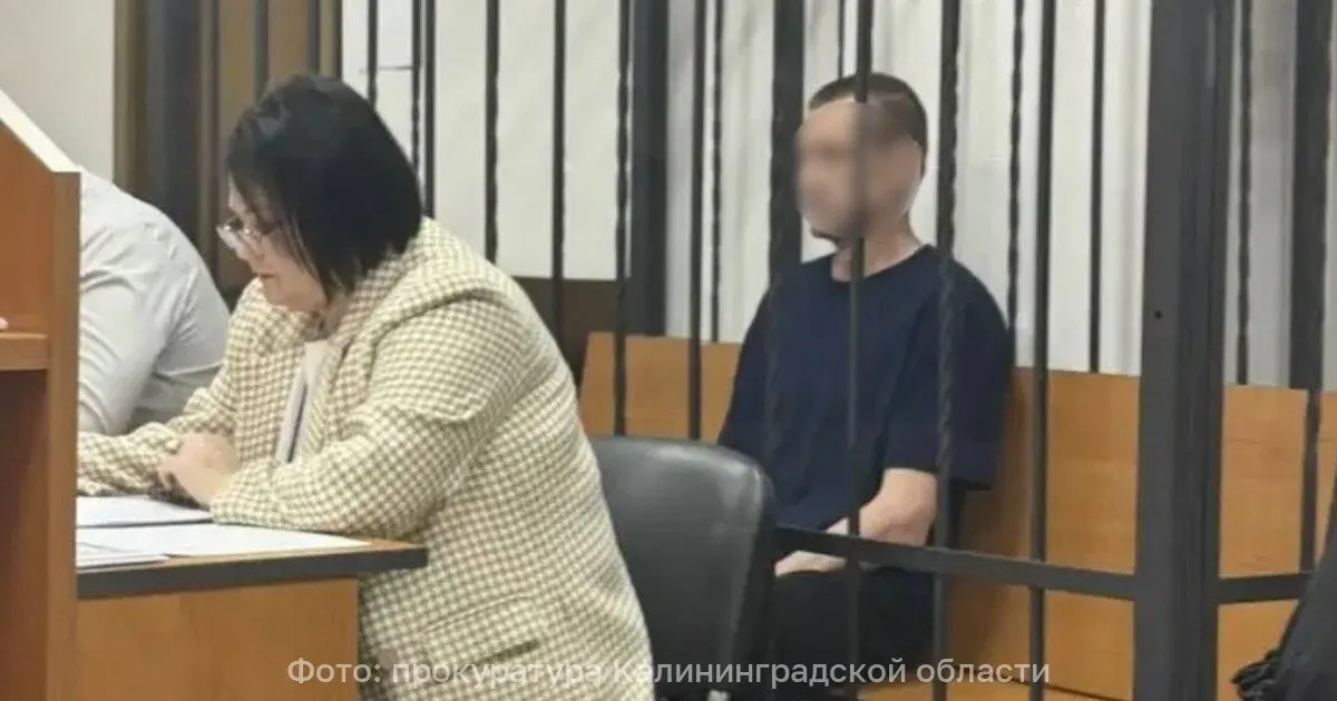 За убийство участника специальной военной операции житель Балтийска получил 10 лет колонии строгого режима и компенсацию морального вреда в размере 1 млн рублей