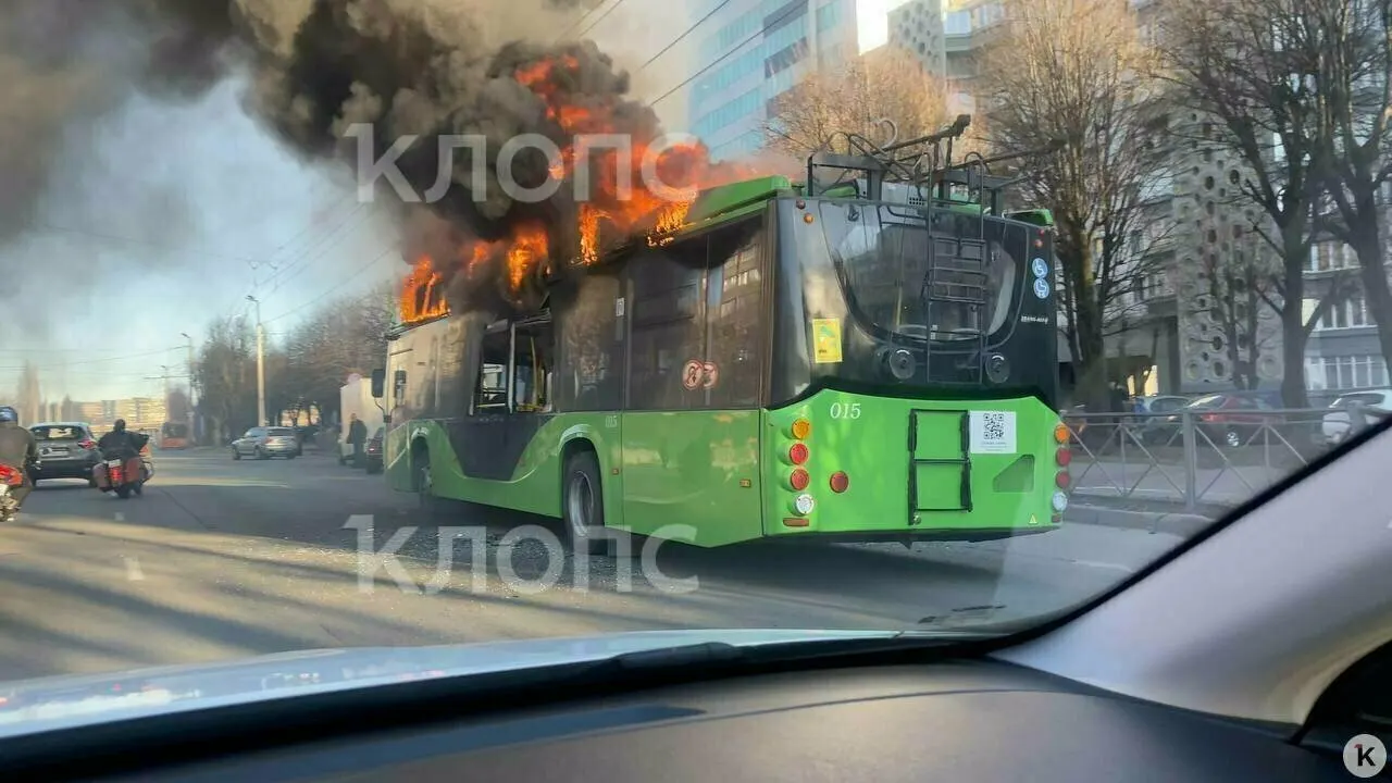 После пожара в Калининграде началась проверка троллейбусного парка: выявлены проблемы с батареей и дверьми, эксплуатация таких единиц временно запрещена.