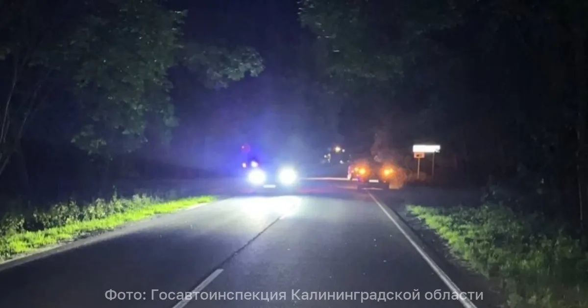 На 39-м км трассы Калининград — Балтийск водитель Peugeot наехал на женщину, переходившую дорогу вне пешеходного перехода. Пострадавшую доставили в больницу, обстоятельства устанавливает ГИБДД.
