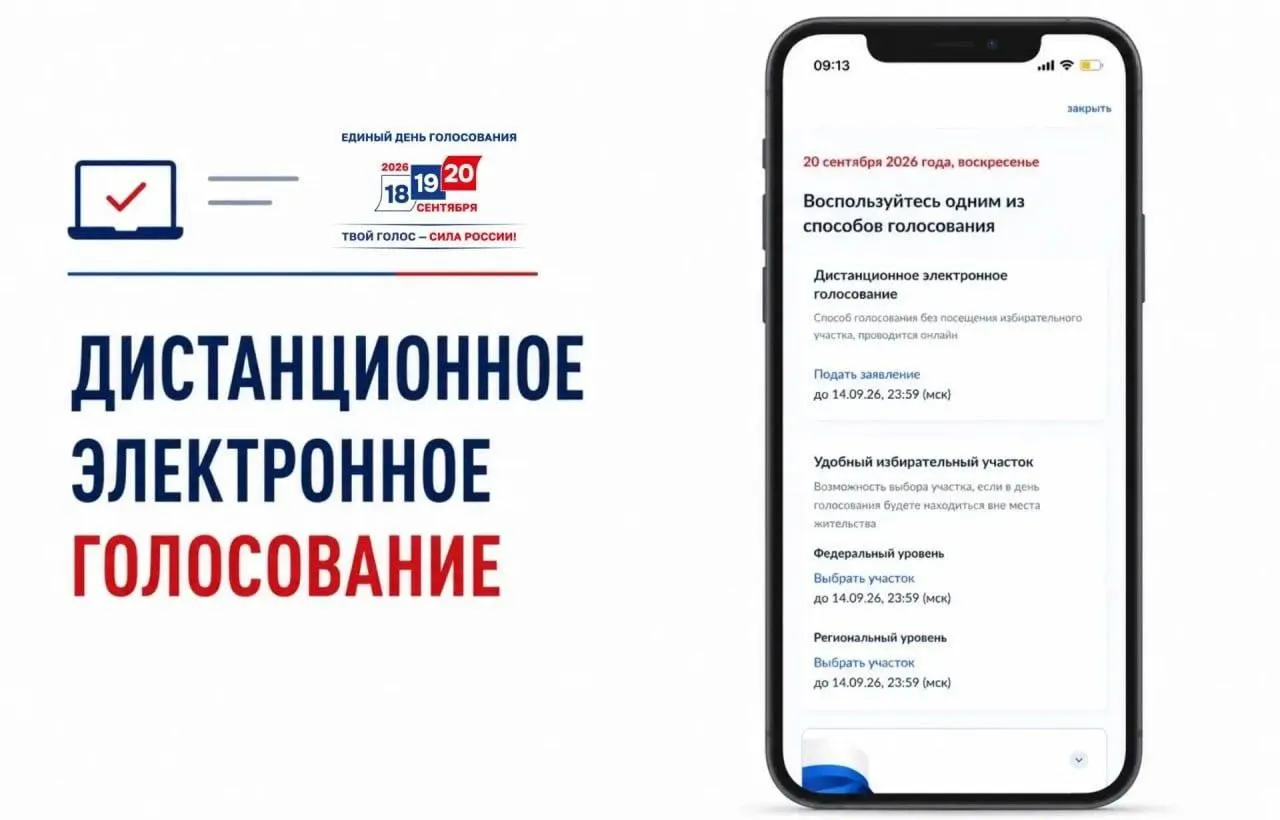 На портале госуслуг открылась подача заявлений на участие в дистанционном электронном голосовании; авторы материала подчёркивают непрозрачность процесса и риски фальсификаций.