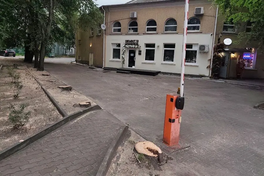 Вырубку шести лип перед входом в здание регионального отделения ВФСО «Динамо» выполнили по требованию руководства организации; владельцу участка предписано высадить взамен аналогичные деревья на том же месте. Экологическая ценность вырубки — 54 балла.