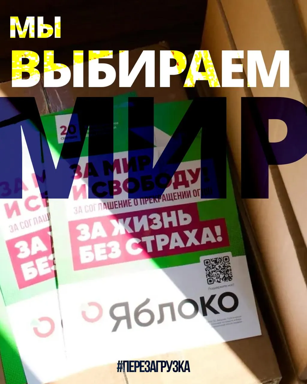 «Яблоко» продвигает федеральный список: агитация в регионах активизируется, растёт число кандидатов и поддержка.