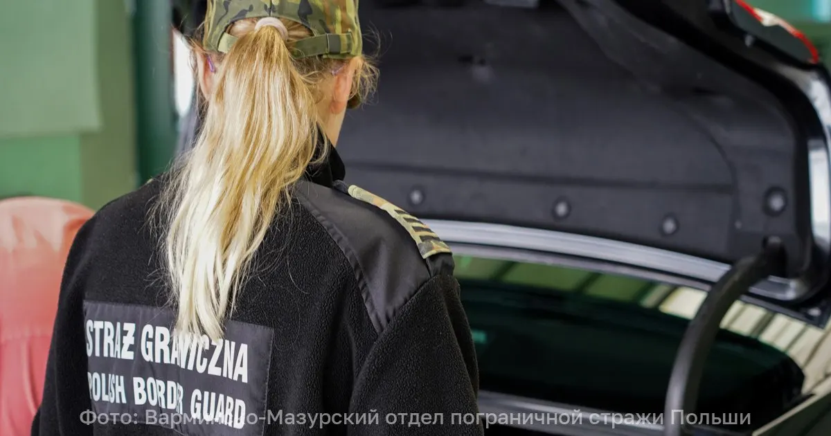 Пограничники задержали водителя и пропустили его в Россию после уплаты штрафа за поддельные водительские права.