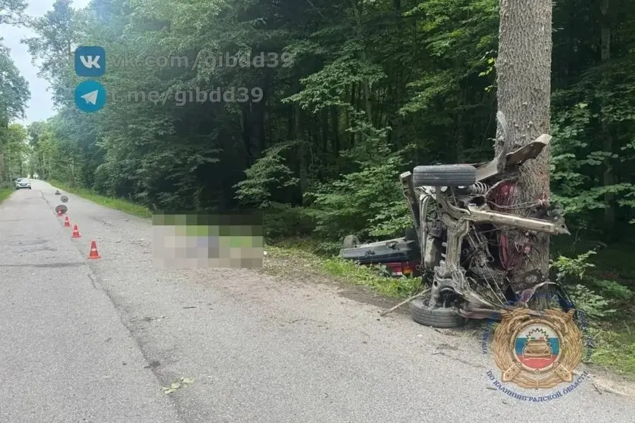 Гвардейский районный суд удовлетворил ходатайство следствия и заключил под стражу 21‑летнего местного жителя. По версии следствия, он сел за руль без прав, не справился с управлением и врезался в дерево — погибла 37‑летняя пассажирка.
