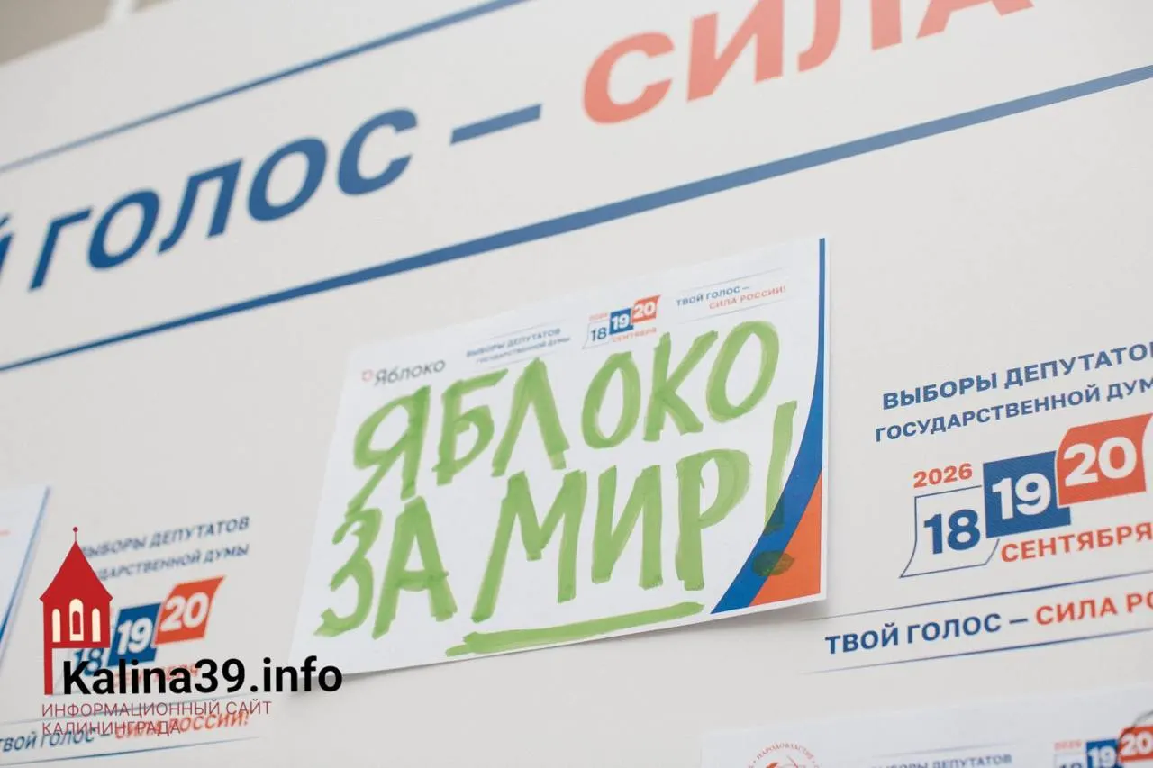 Региональное отделение Яблока получает третий номер в бюллетене Заксобрания Калининградской области; несмотря на снятие федерального списка, партия остаётся в бюллетене региона.