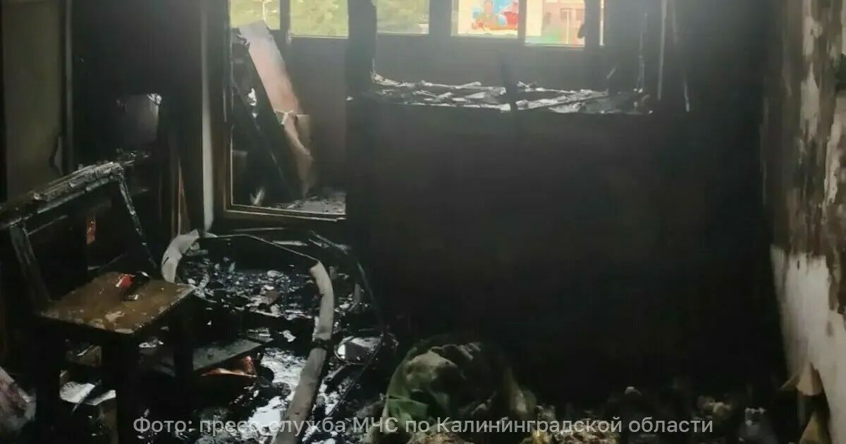 Пожар в шестиэтажном многоквартирном доме на окраине Калининграда: кот, собака и трое подростков спасены, пострадавших нет.