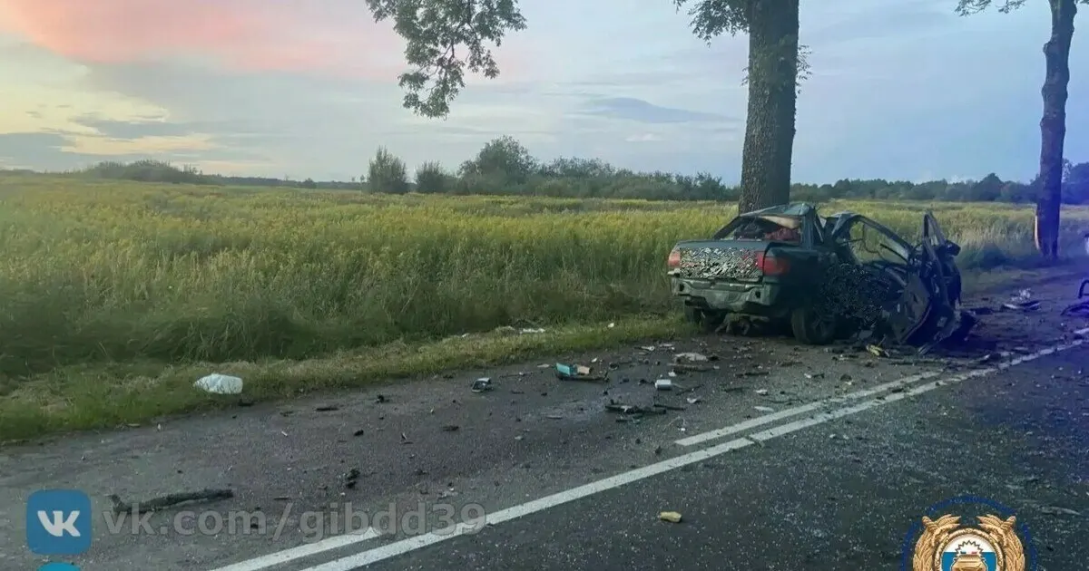 В Черняховском районе погиб водитель 22 лет в результате дорожно-транспортного происшествия; автомобиль разрушен, от него остался багажник и задние колёса.