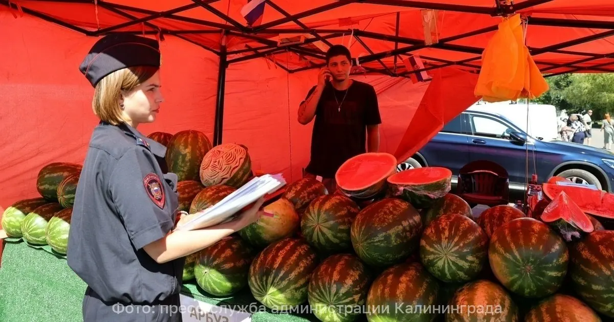 Рейд в Центральном районе выявил нарушения на остановках с арбузами и фруктами.