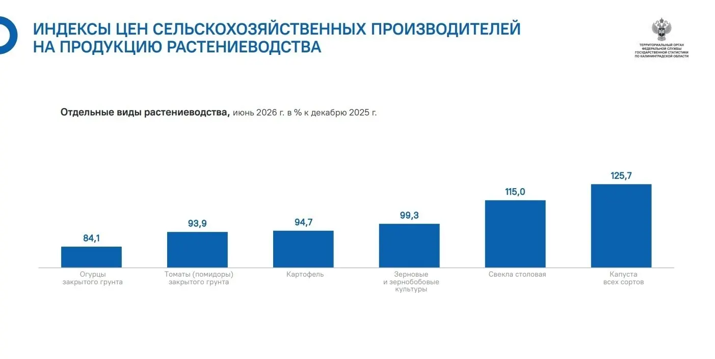 Капуста в регионе подорожала на 25,7%, свекла — с ростом 115% к декабрю 2025 года; огурцы и томаты снизились в цене, зерновые почти не изменились.