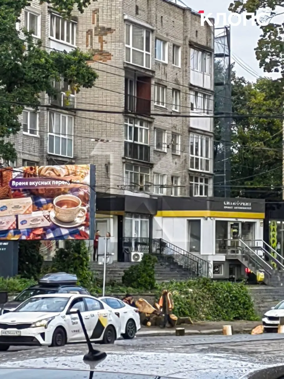 На проспекте Мира в Калининграде спилили крупное дерево. Жители ждут объяснений и обсуждают судьбу соседних насаждений.