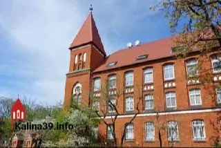 В Калининграде разрешили вырубку 33 деревьев и 11 кустарников на пересечении улиц Шиллера и Ермака.