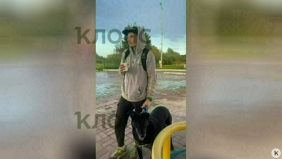 После того, как о судьбе Максима рассказали в регионе, ему предложили варианты работы, проживания и поддержки. Максим выбрал работу в приюте для собак «Тимвилль» и обсудил переезд с руководством.
