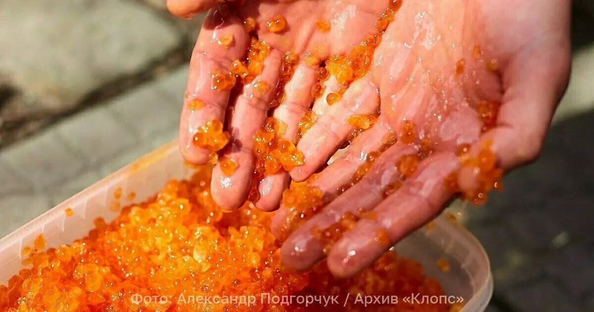 Доставку икринок форели осуществили из Польши; планируется транзит через Смоленск и Ростов.