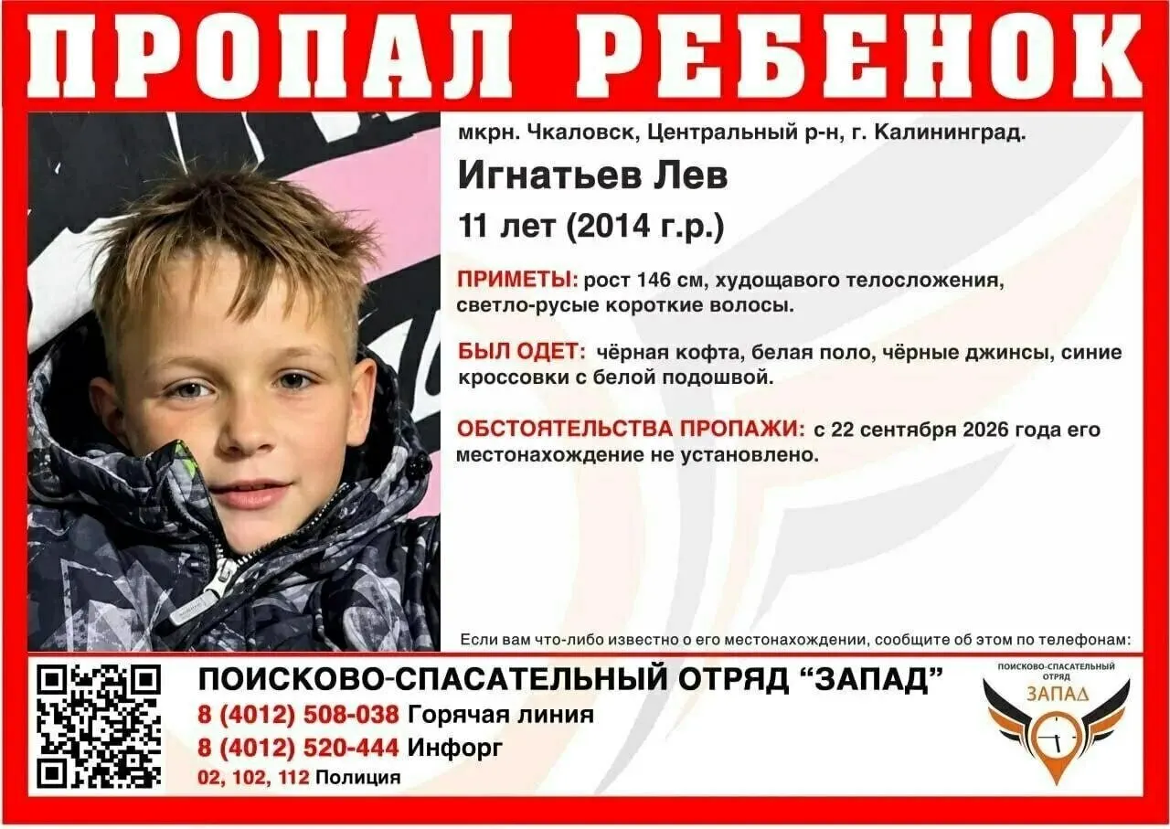 Пропавшего ребенка разыскивают в регионе; опубликованы приметы и телефоны для информации.