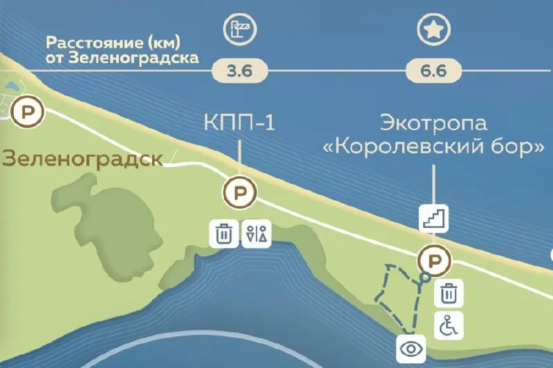 27 сентября на Куршской косе состоится благотворительный велопробег в рамках акции «Бегу за улыбкой»; участники преодолеют 6 км ради помощи подопечным фонда.