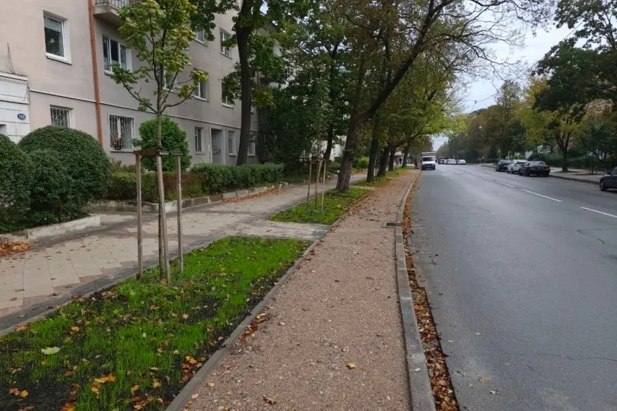 На улице Карла Маркса в Калининграде восстанавливают довоенную велодорожку, перераспределяя часть пространства под парковочные места.