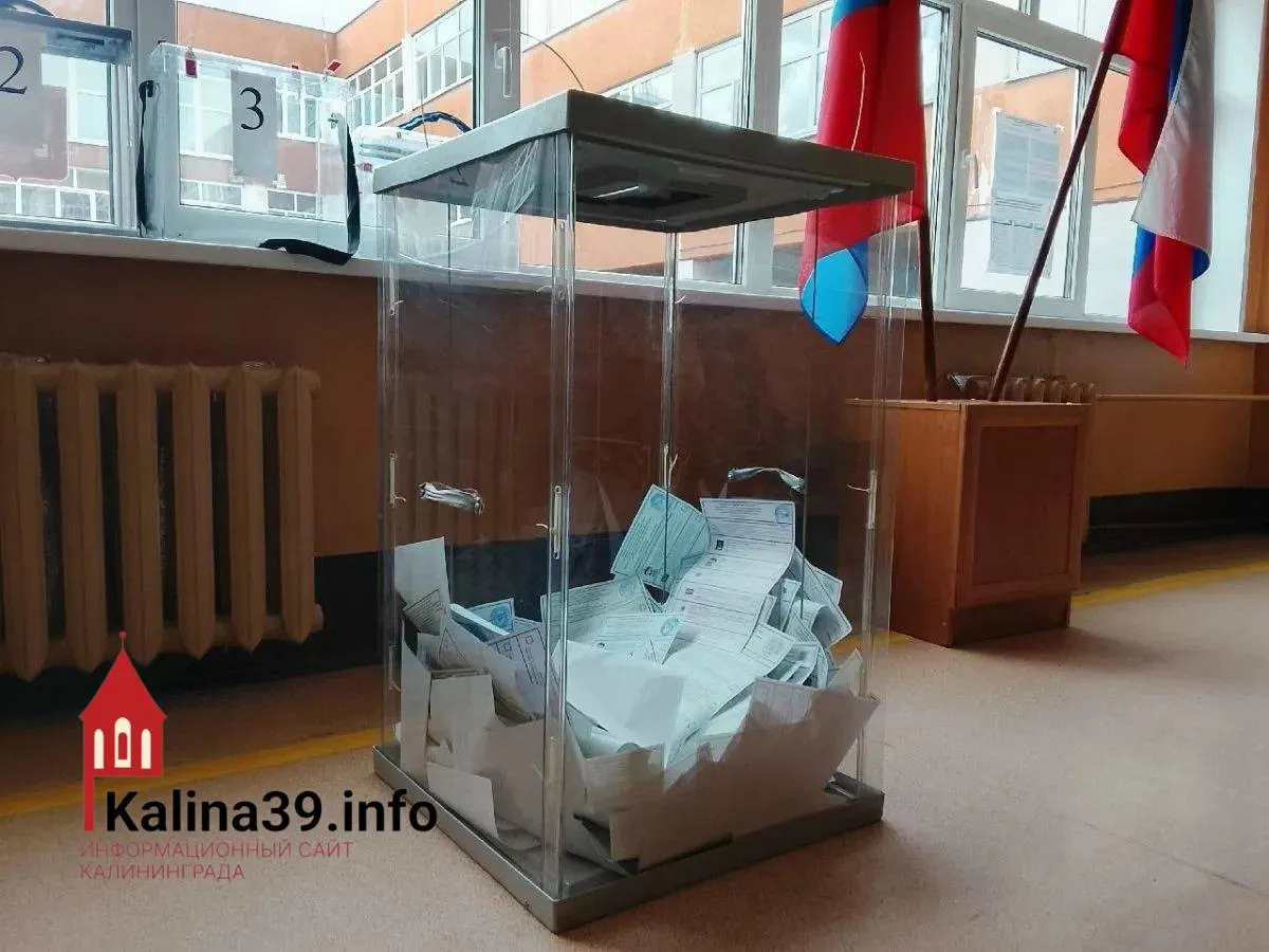 По предварительным данным партия обеспечивает полный набор мандатов по всем одномандатным округам Калининградской области.