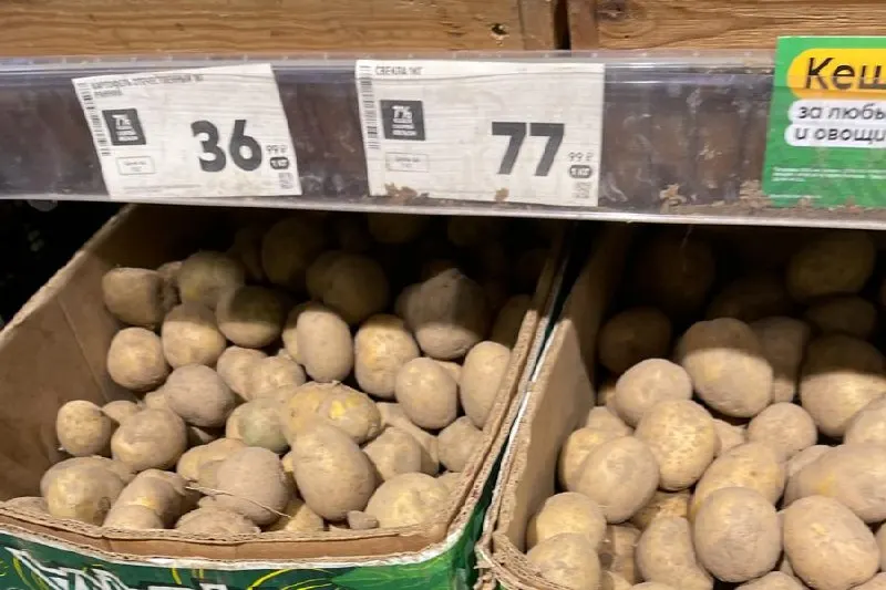 По данным мониторинга цен: стоимость условной продуктовой корзины снизилась во всех трёх сетях, в основном за счёт снижения цен на сезонные овощи; картофель стал доступнее почти вдвое.