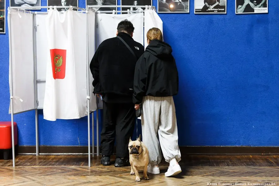 На данный момент подсчет голосов на выборах в Горсовет Калининграда еще не завершен. По данным предварительного подсчета, 29 мандатов достались кандидатам от Единой России, один — Сергею Горохову (округ №10).