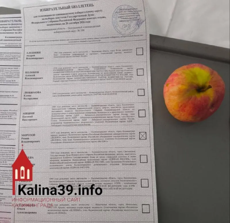 Кандидаты Яблока в Калининградской области набрали в среднем 13,65%, что могло бы дать место в областном парламенте, если бы партийный список не был снят.