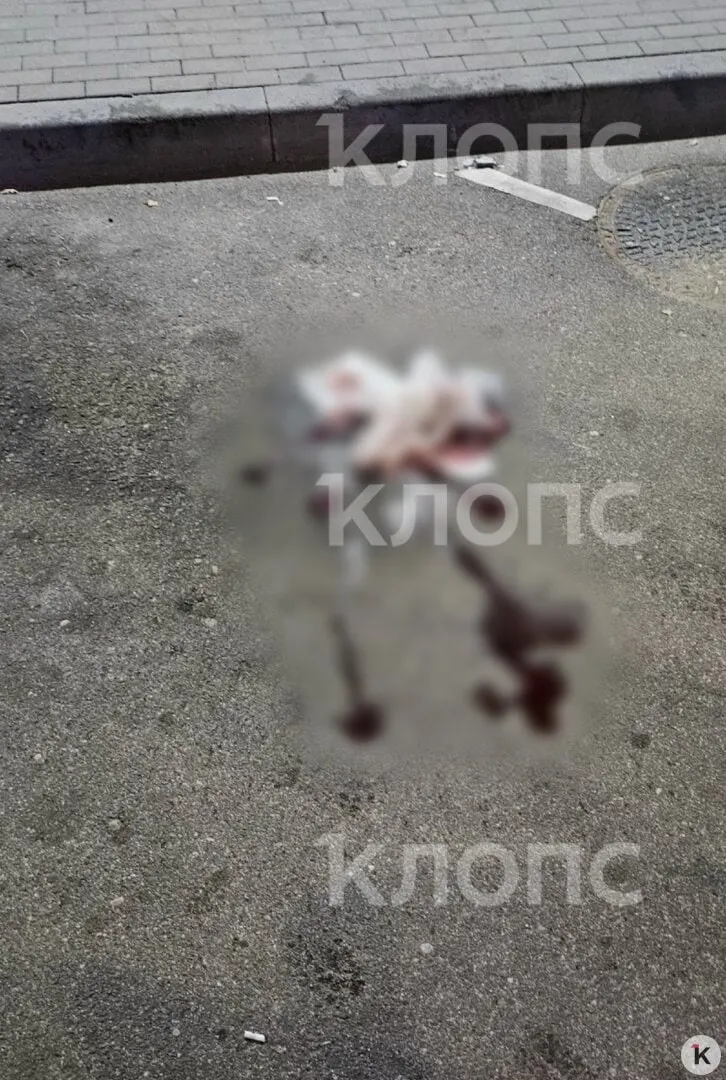Ночью на улице Карташева водитель увидел лежащего на дороге мужчину примерно 60 лет с тяжёлой раной на шее; пострадавшего доставили в областную больницу. Полиция устанавливает обстоятельства нападения и задержала подозреваемого.