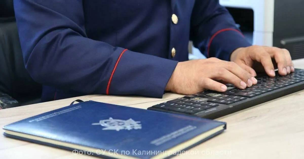 Глава Следственного комитета потребовал предоставить оперативный доклад о ходе расследования дела об истязании 15-летней девочки в Калининградской области и мерах по защите прав несовершеннолетней.