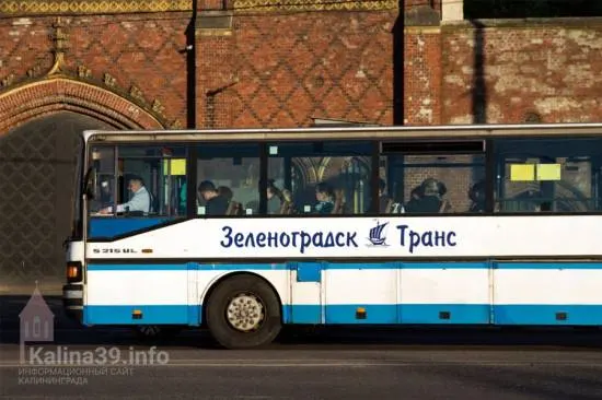 В Светлогорске запустят дополнительные автобусы к участкам: организуют три маршрута и расписания.
