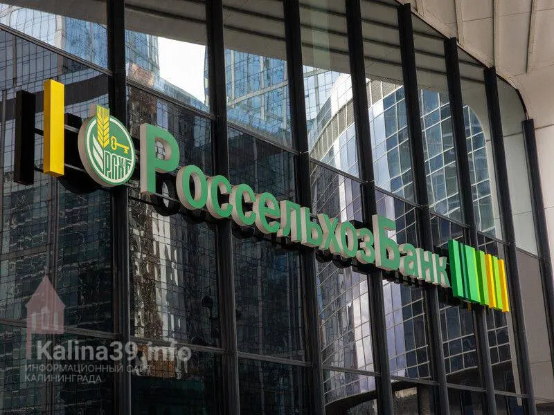 Три калининградские компании получили от Россельхозбанка 2,4 млрд рублей на финансирование проектов, 2,1 млрд — по льготной ставке.