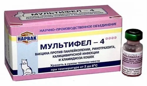 После вакцинации вакциной «Ветбиохима» погибло около 300 собак; у котят и кошек наблюдаются тяжелые побочные реакции, случаи болезни фиксируются в разных регионах.
