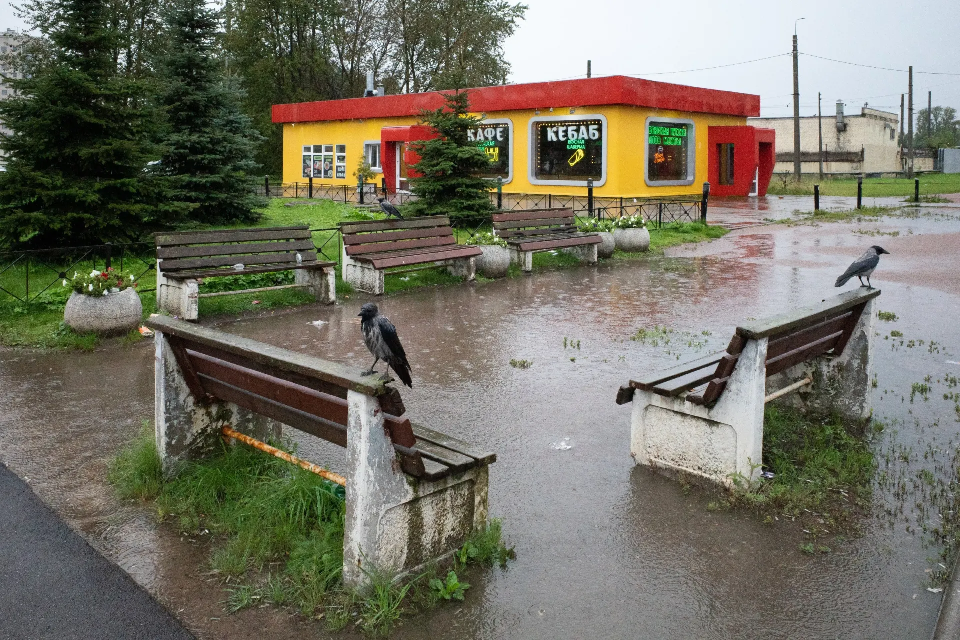 Раздел новостей: судебные решения, политические заявления и мировые события.