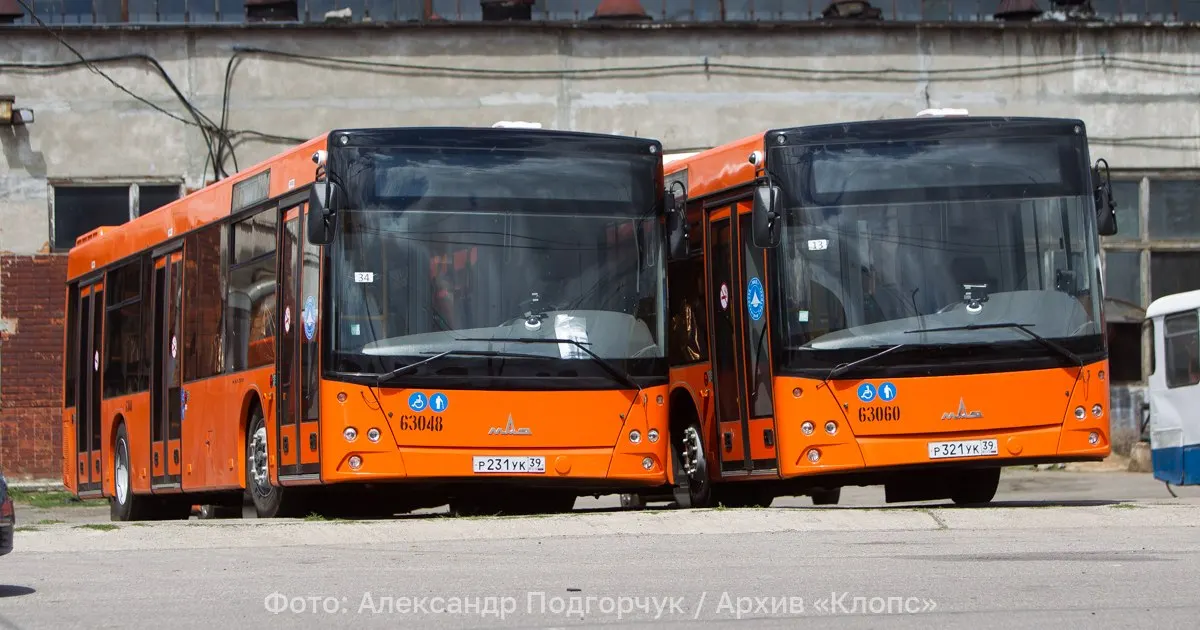 Из–за аварии на круговой развязке в Калининграде автобусы №11 и №15 вынуждены объезжать часть города; временная схема движения.
