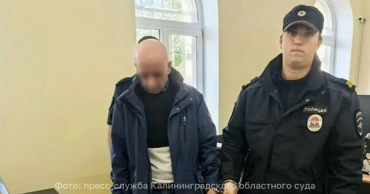 В Калининграде двое лиц организовали схему по поддельным морским документам, причинив ущерб около 400 тысяч рублей; преступление длилось около 2,5 лет.