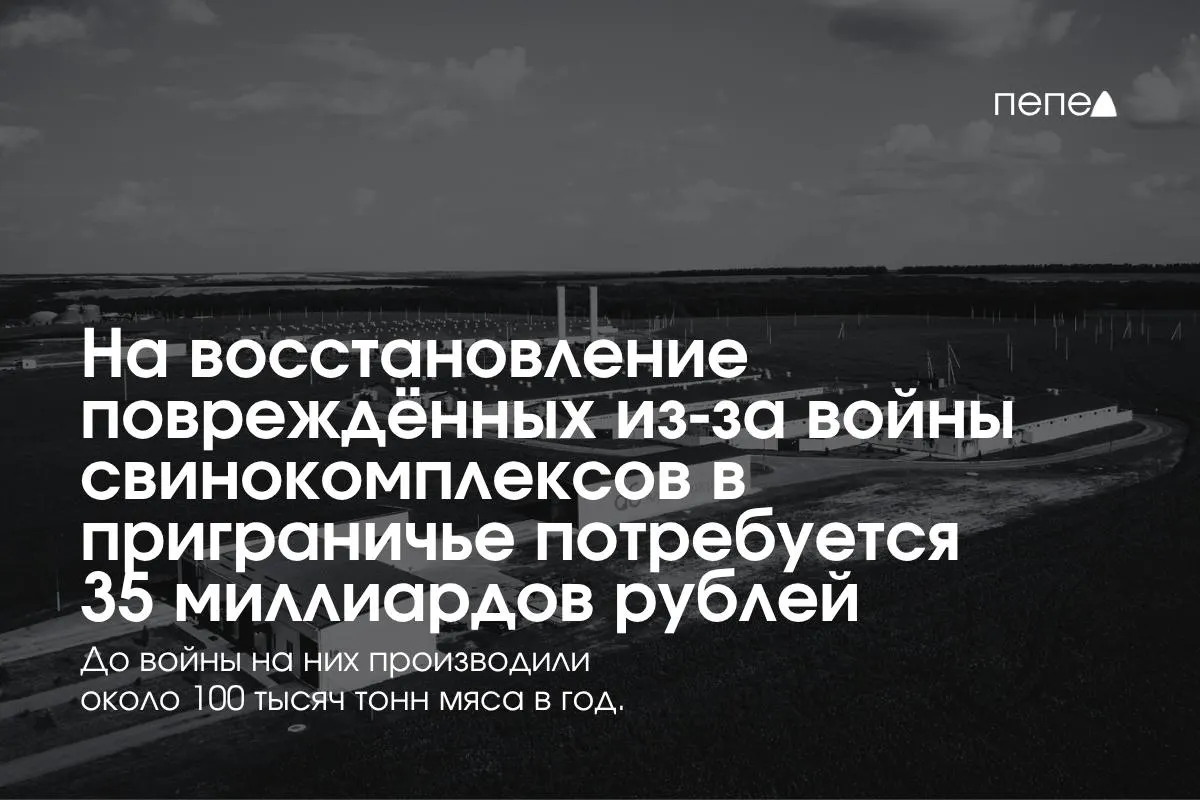 Затраты на безопасность и защиту, а также снижение выпуска свинины в регионе оцениваются в 35 млрд рублей; Белгородская область обеспечивает примерно 16,8% российского объёма свинины.