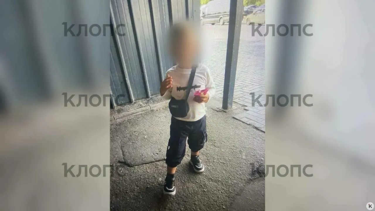 В Черняховском районе погиб ребёнок после исчезновения во дворе; найдено тело в заброшенном колодце вблизи дома. По данным правоохранительных органов, поиски велись полицией, спасателями и волонтёрами.