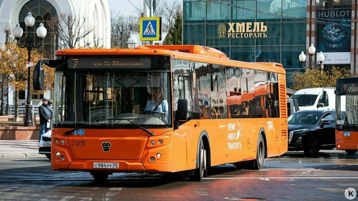 В&nbsp;Калининграде ищут решение проблемы с&nbsp;автобусами: расторжение контрактов и&nbsp;усиление муниципального перевозчика