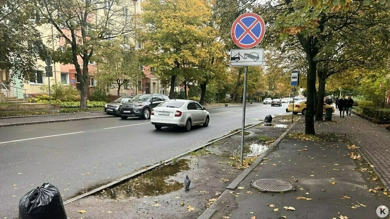 Городские власти заявляют, что приоритет — пешеходы и общественный транспорт; парковочные места частично сохранят, но их сократят на отдельных участках.