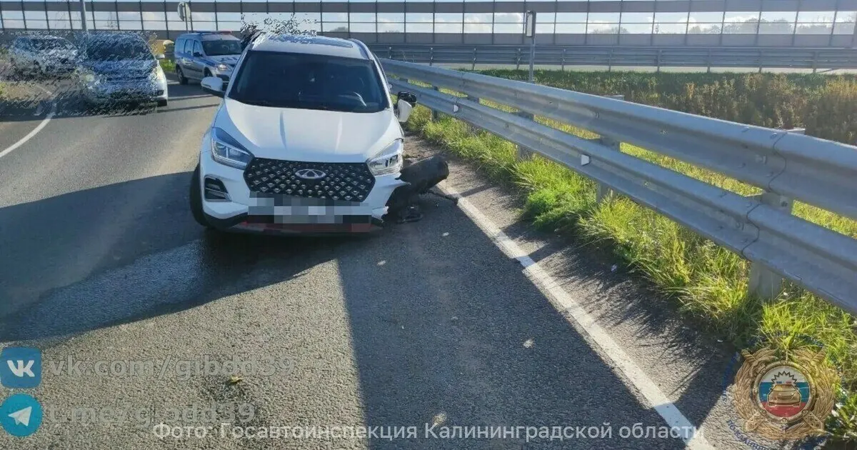 В аварии на Северном обходе Калининграда пострадал годовалый ребёнок; водитель на Chery столкнулся с металлическим отбойником.