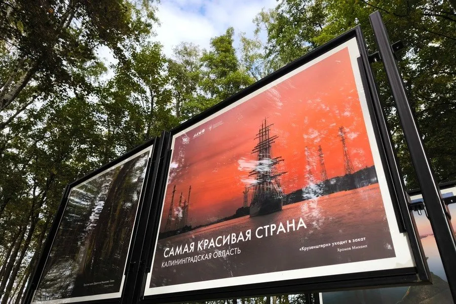 Самая красивая страна: фотовыставка в&nbsp;Светлогорске о&nbsp;природе Калининградской области