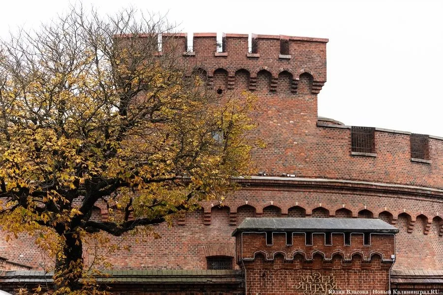 В Калининграде планируется разместить парковку для туристических автобусов за Музеем янтаря в рамках благоустройства территории. Сроки реализации проекта — 2027–2028 годы.