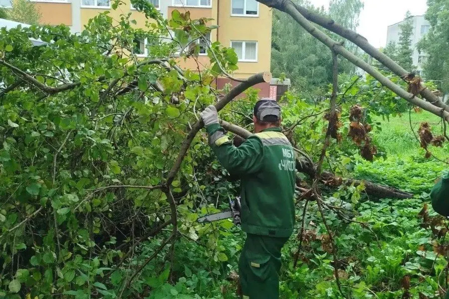 Сильный шторм повалил деревья, повредил автомобили и оборвал провода в Калининграде; на месте работают аварийные бригады и восстанавливают линии.