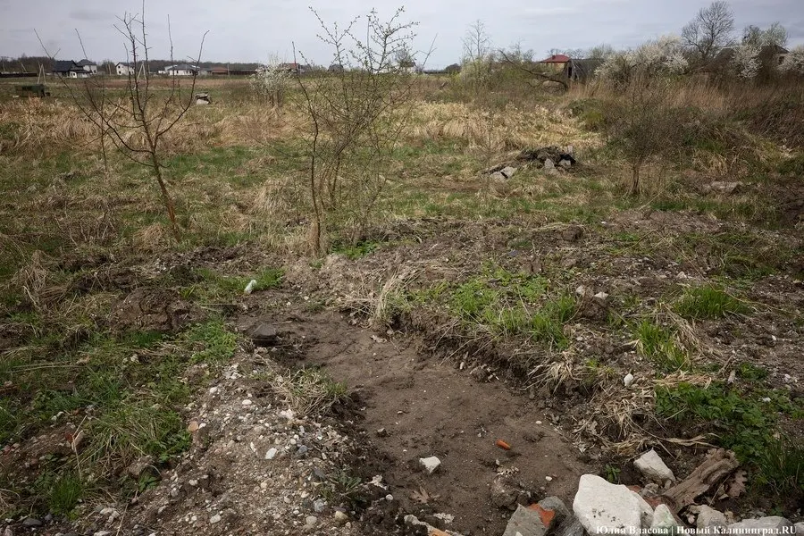 Природоохранная прокуратура подала 20 исков на общую площадь 21,3 тыс. кв. м вдоль береговой полосы рек Преголя, Гурьевка и Приморская; часть земель оказалась в руках граждан и компаний, проводится проверка.