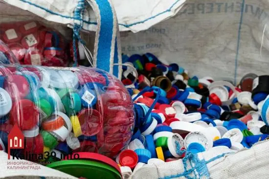 В Калининградской области собрано почти 500 тонн пластика; цены на вторсырьё ниже себестоимости, перевозка дорога — проект переработки может не стартовать в этом году. Жители сортируют отходы, но условий для эффективной переработки почти нет.