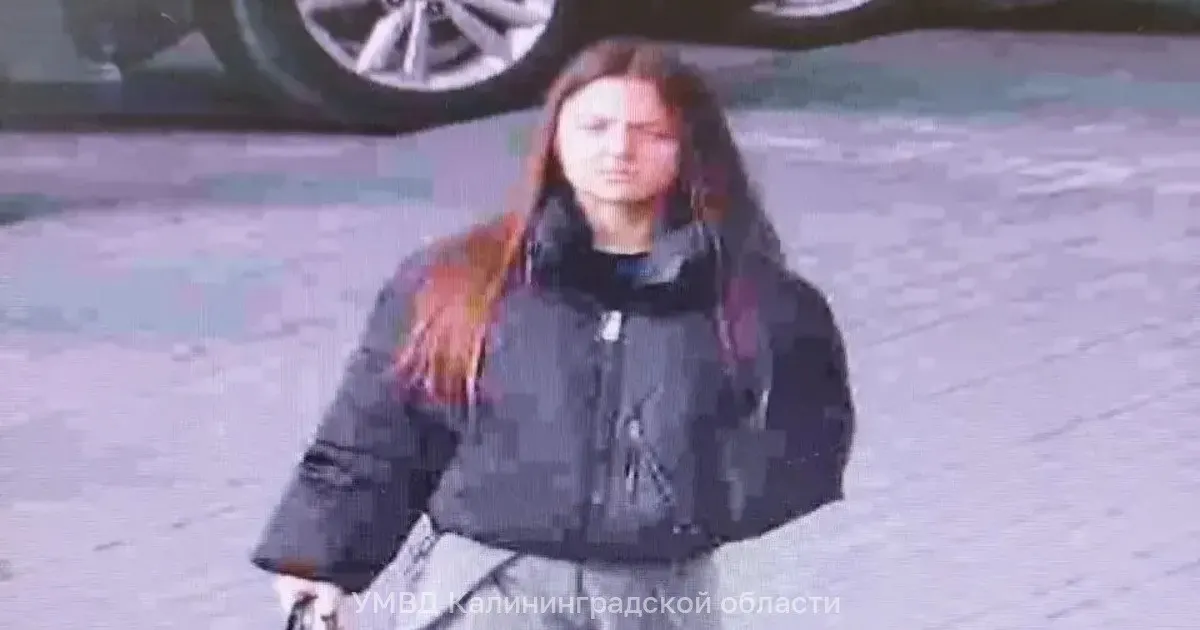 17-летняя школьница пропала в Калининграде после вечера 23 октября; идут поиски.