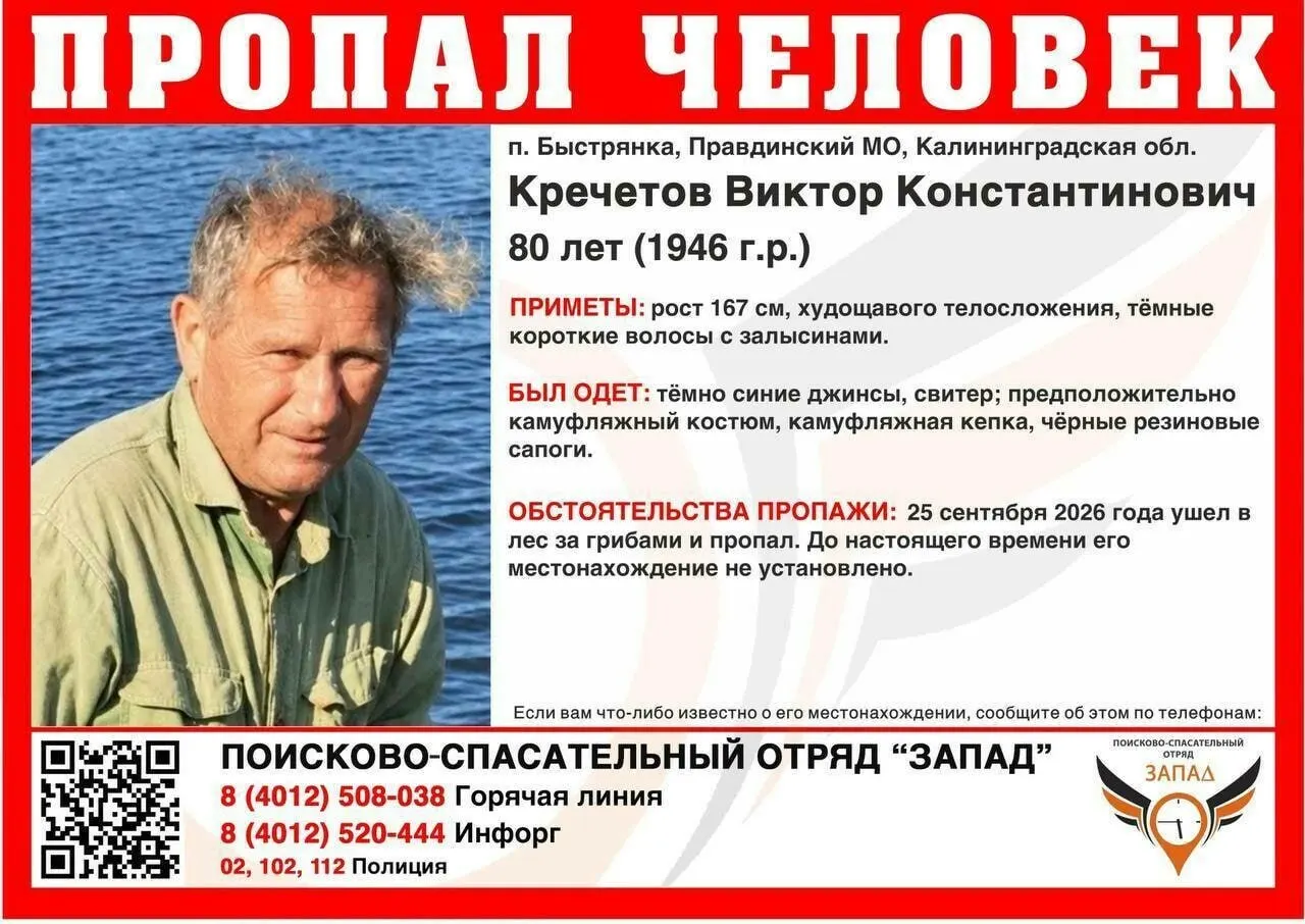 Родные пропавшего грибника призывают добровольцев присоединиться к поискам 11 октября.