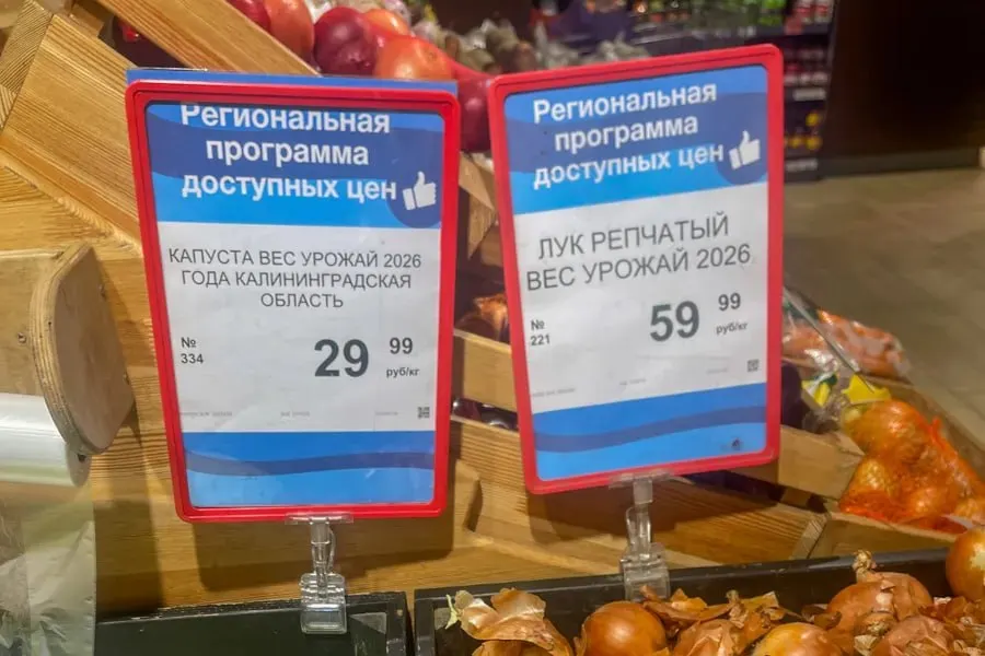 Мониторинг продуктовой корзины показывает снижение цен: картофель и капуста достигли 29,99 ₽ за килограмм; разница между сетями составила 40–193 ₽.
