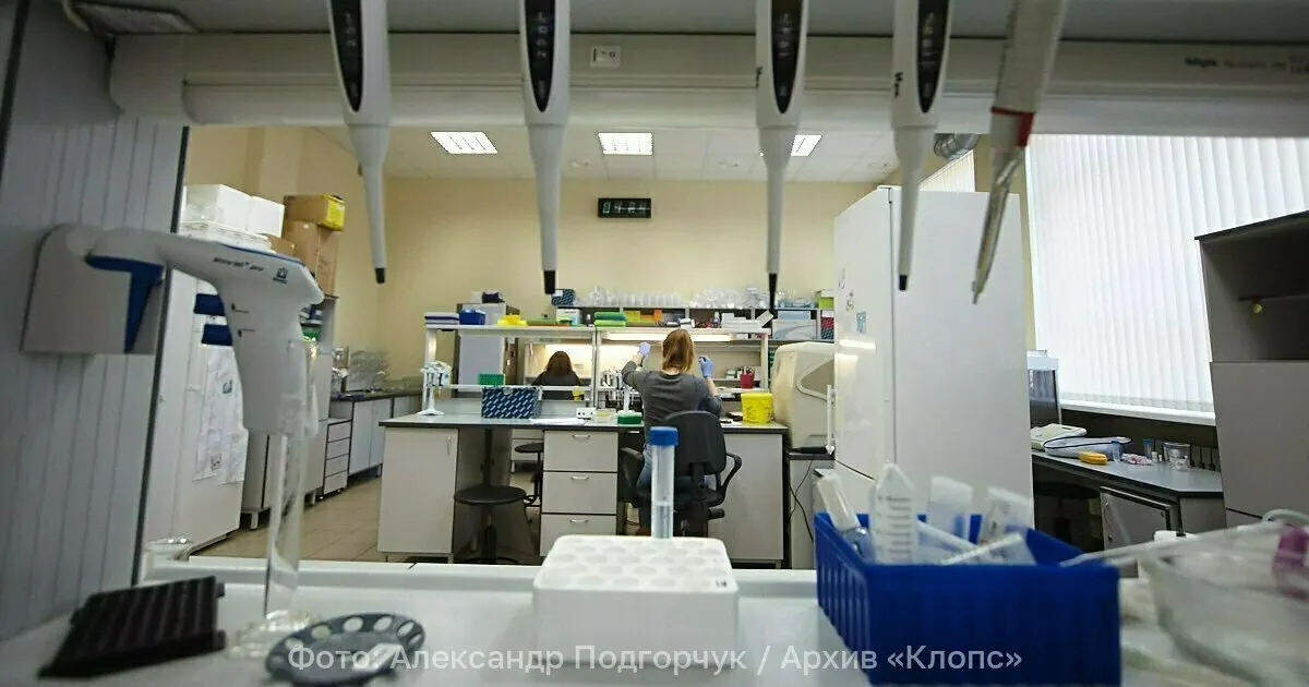 Проверка выявила несоответствие по массовой доле сорбиновой кислоты в плавленом сыре Burger Чеддер, что привело к отзыву деклараций.