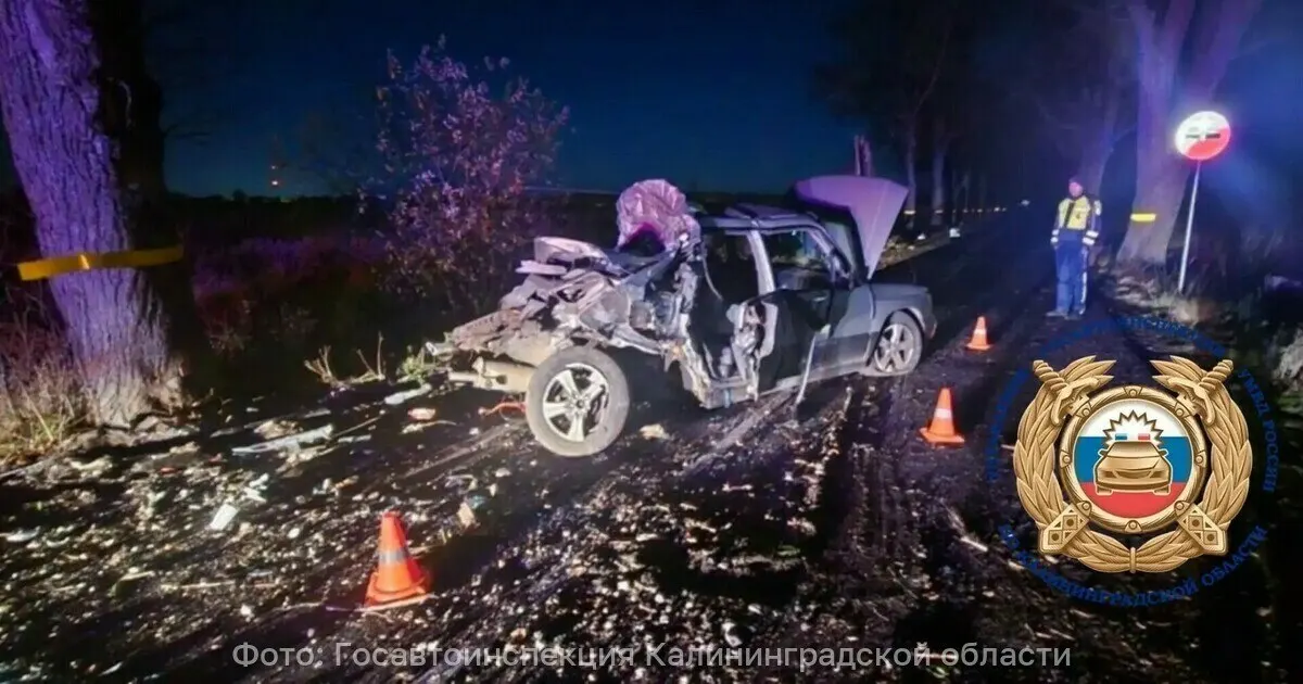 В Зеленоградском районе Subaru выехал на встречную полосу и врезался в дерево; пострадали водитель и пассажир.