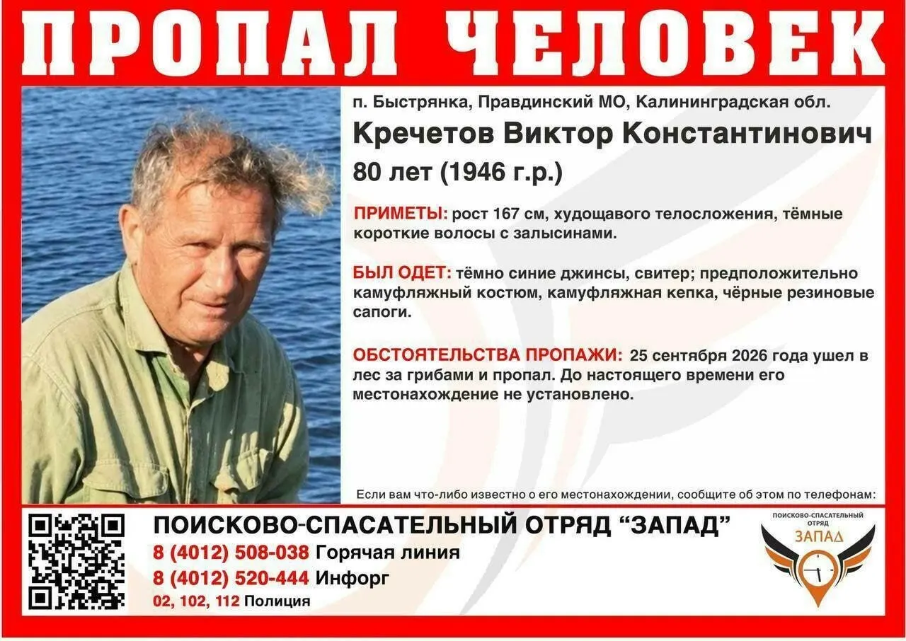 В лесу у Правдинска продолжаются поиски пропавшего грибника: волонтёры и спасатели обследуют окрестности, силы прилагаются к расширению радиуса поиска.